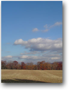 clarks creek is to be preserved and enhanced