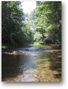 clarks creek is to be preserved and enhanced